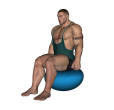 Calf Raise - Fitness Ball Seated